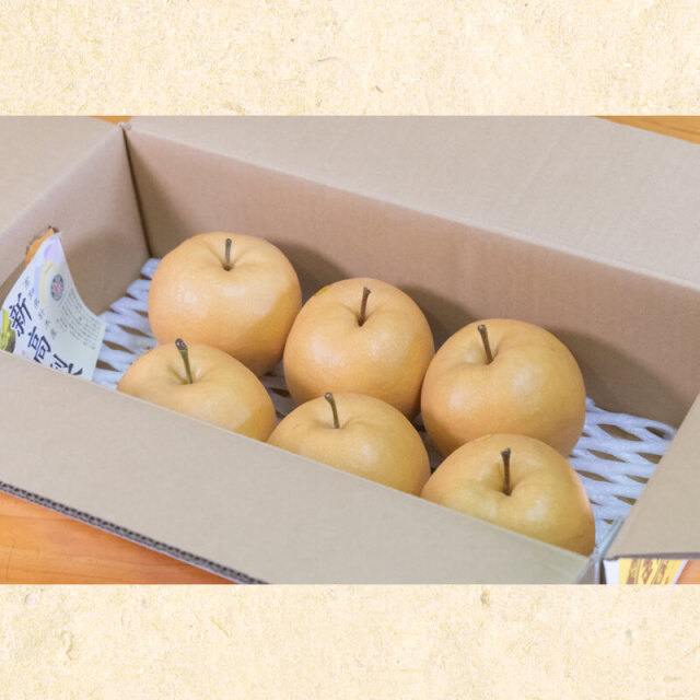 針木産新高梨2玉入(約1.2kg)