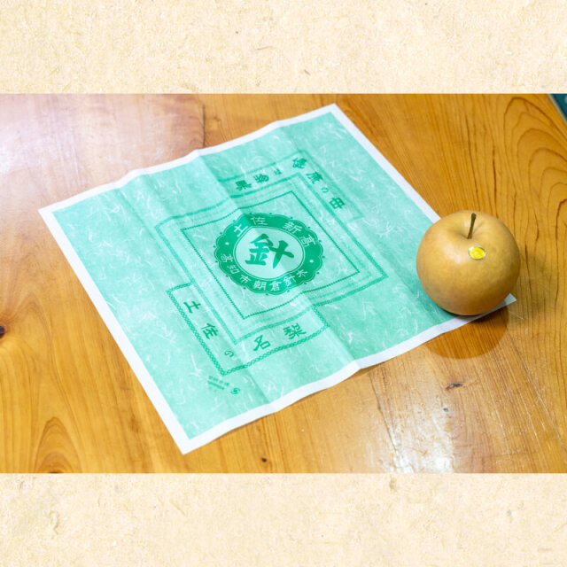 針木産新高梨2玉入(約1.2kg)