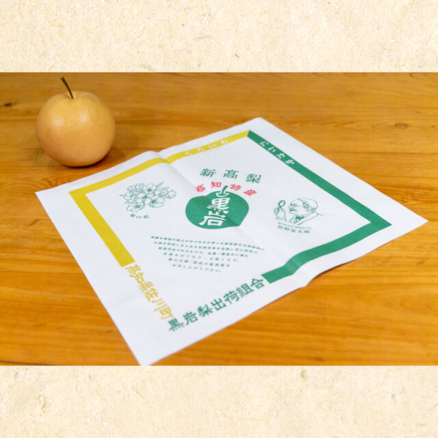 家庭用　黒岩産新高梨　約2kg（3～4玉）