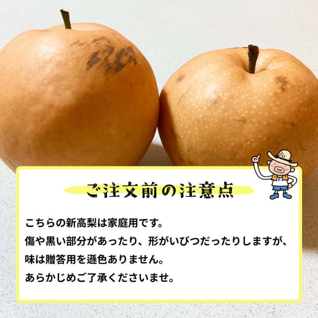家庭用黒岩産新高梨約3.5kg（7玉） | 高知県土佐町【すえひろ屋】