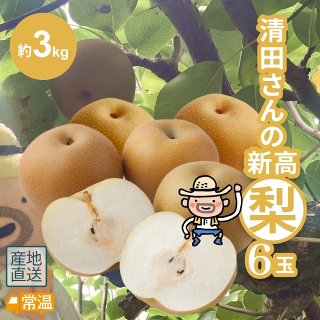 清田さんの新高梨（約3kg・6玉入）