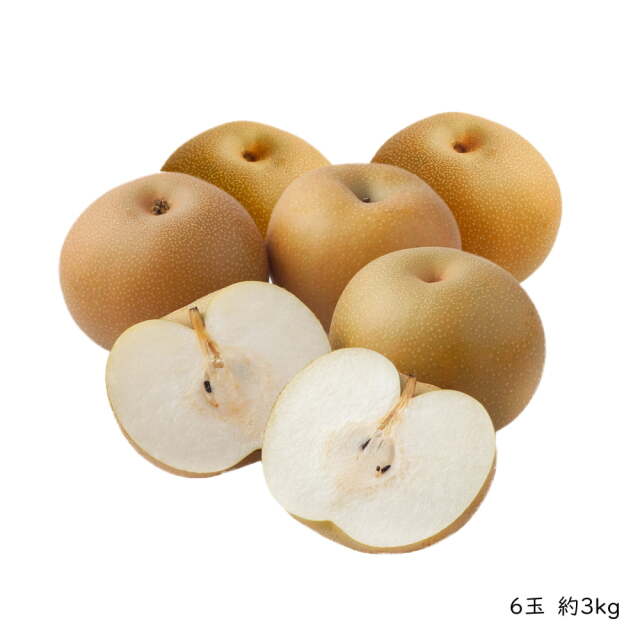 清田さんの新高梨（約3kg・6玉入）