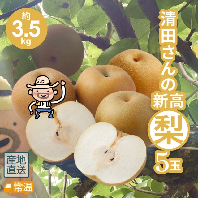 清田さんの新高梨（約3.5kg・5玉入）