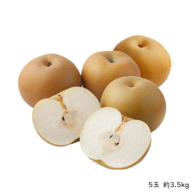 清田さんの新高梨（約3.5kg・5玉入）