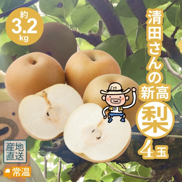 清田さんの新高梨（約3.2kg・4玉入）