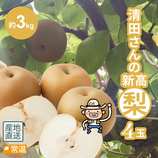 清田さんの新高梨（約3kg・4玉入）