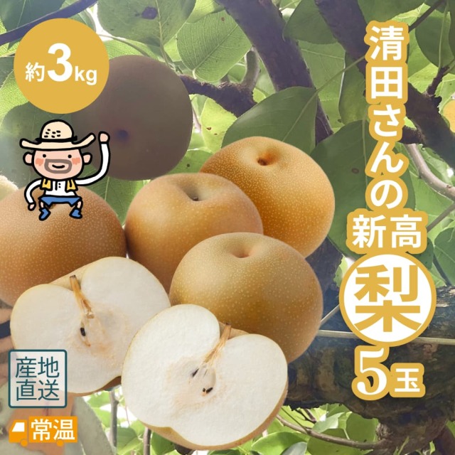 清田さんの新高梨（約3kg・5玉入）