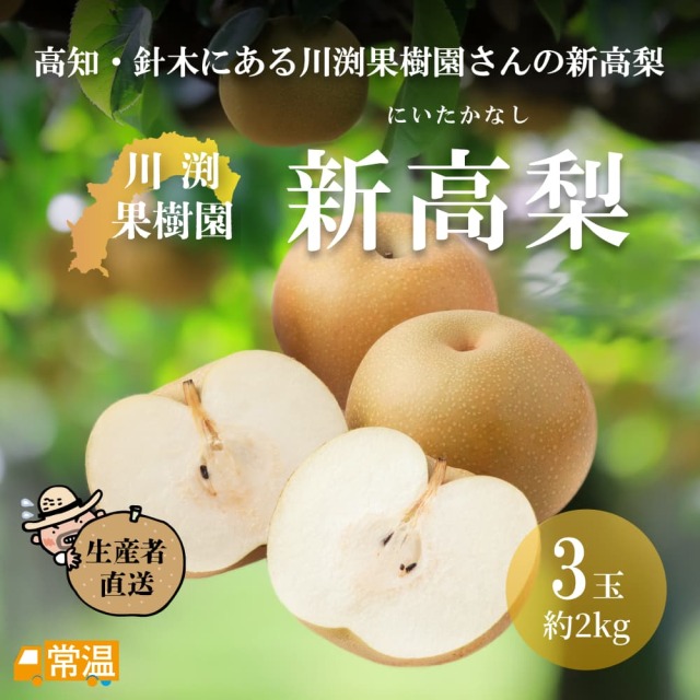 川渕果樹園　新高梨　約2kg（3玉入）