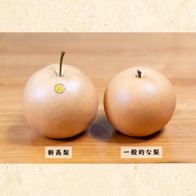 川渕果樹園 新高梨 4玉入（約3kg） | 高知県土佐町【すえひろ屋】