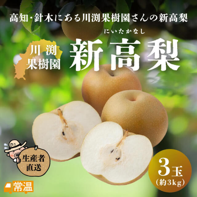 川渕果樹園　新高梨　3玉入（約3kg）