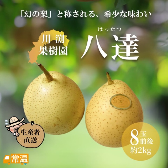 川渕果樹園　八達　約2?s・8玉前後