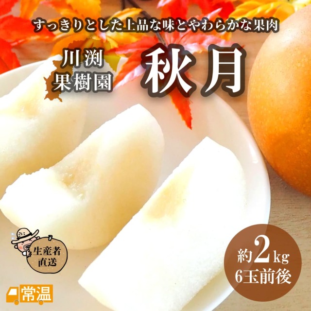川渕果樹園　秋月(約2kg・5-7玉入）