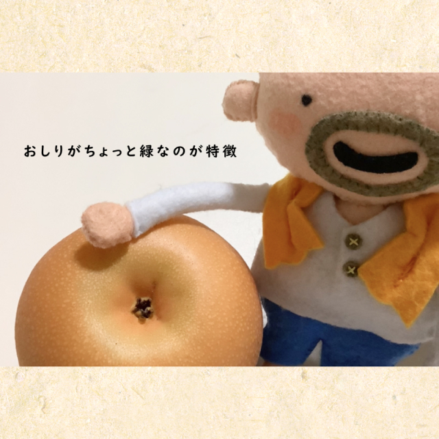 川渕果樹園　秋月(約2kg・5-7玉入）