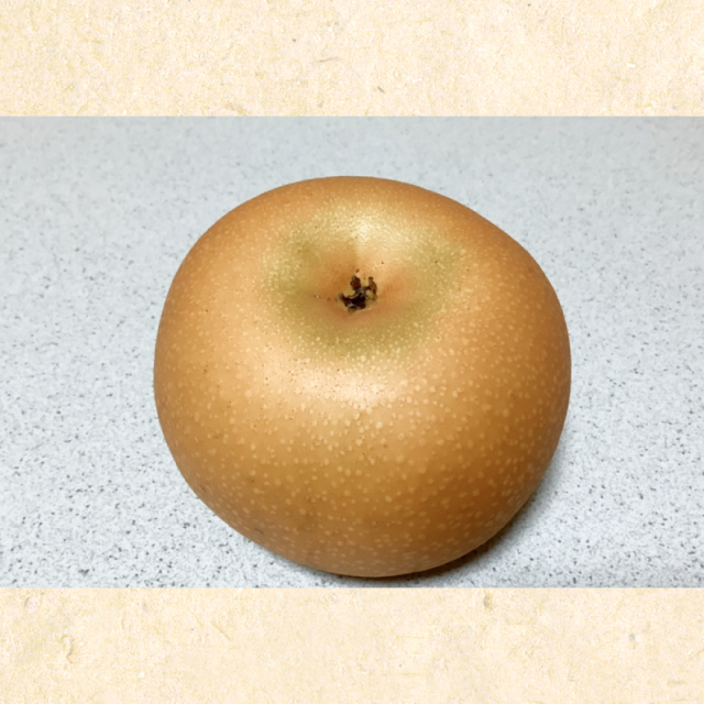 川渕果樹園　秋月(約2kg・5-7玉入）