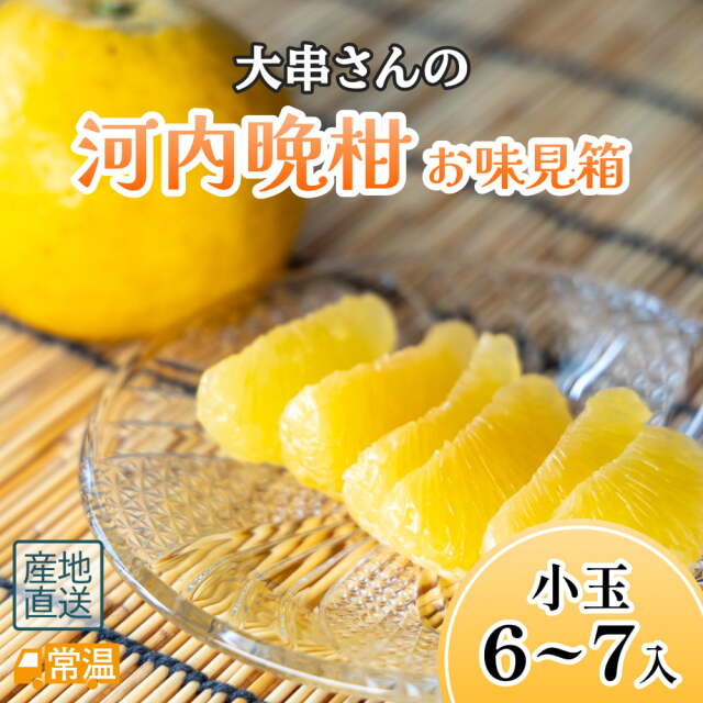 大串さんの河内晩柑　お味見箱