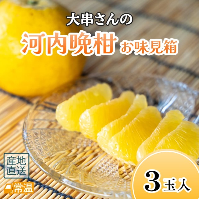 大串さんの河内晩柑　お味見箱
