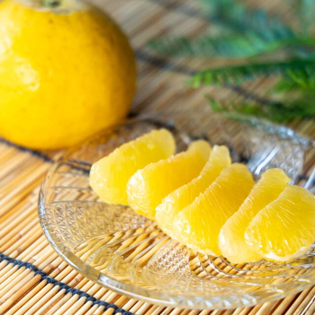 大串さんの河内晩柑　お味見箱