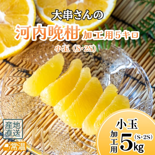 大串さんの河内晩柑　小玉S･2S 加工用 5kg