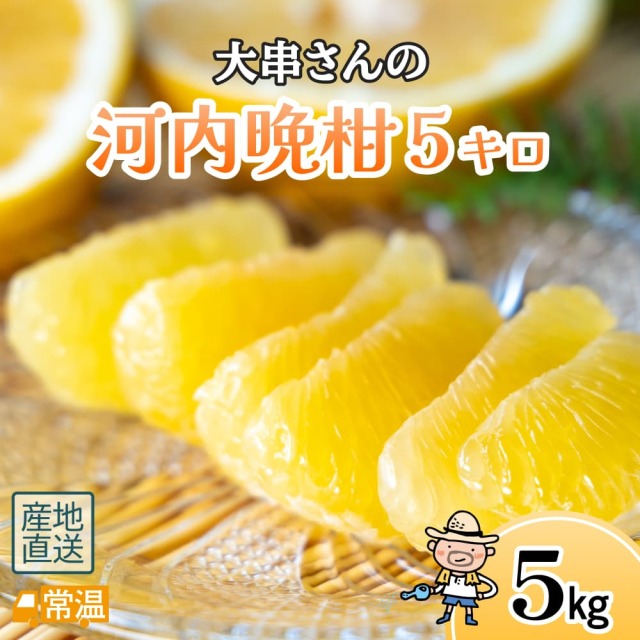 大串さんの河内晩柑　5キロ