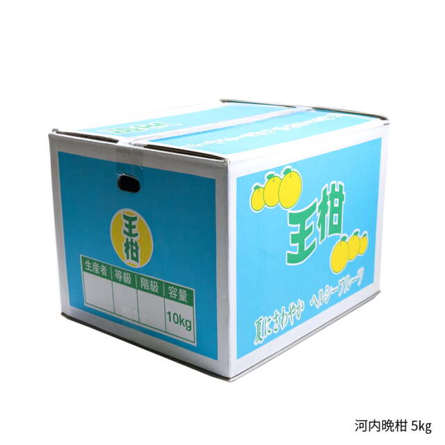 大串さんの河内晩柑　5キロ