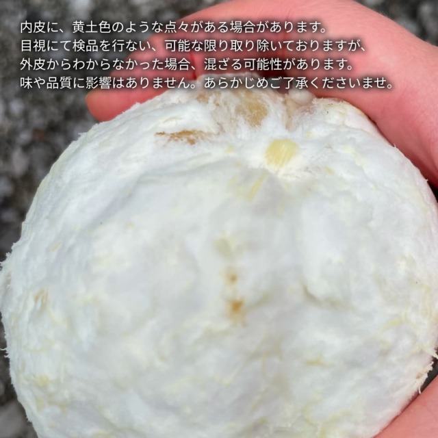 大串さんの河内晩柑　5キロ