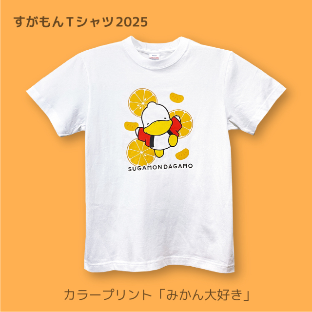 しろたミカン MIKANスパークリングジュース – KIMINO JP