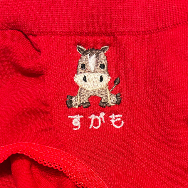 午年企画】【赤の魔法】美尻午年ショーツ（M/L/LL)