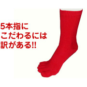 紳士用赤の５本指靴下（綿）