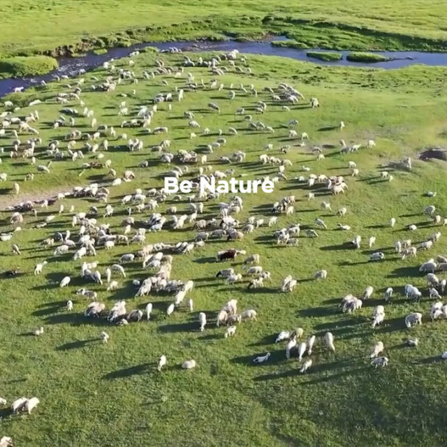 ウールブーツ08