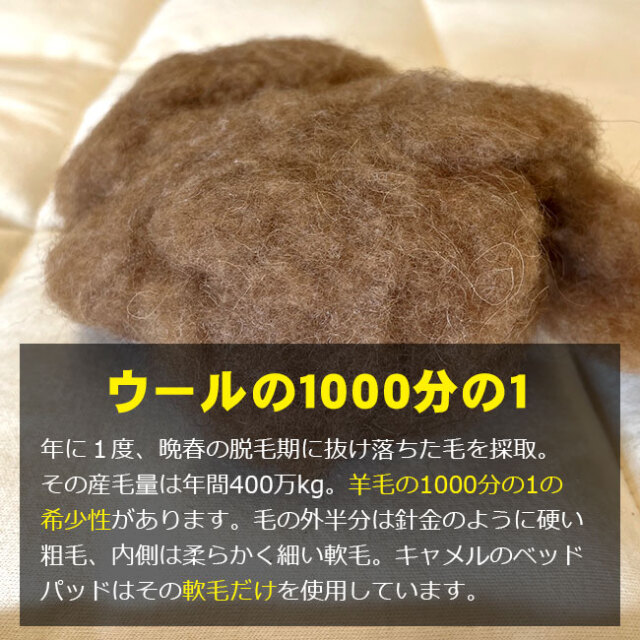 キャメルベッドパッド03