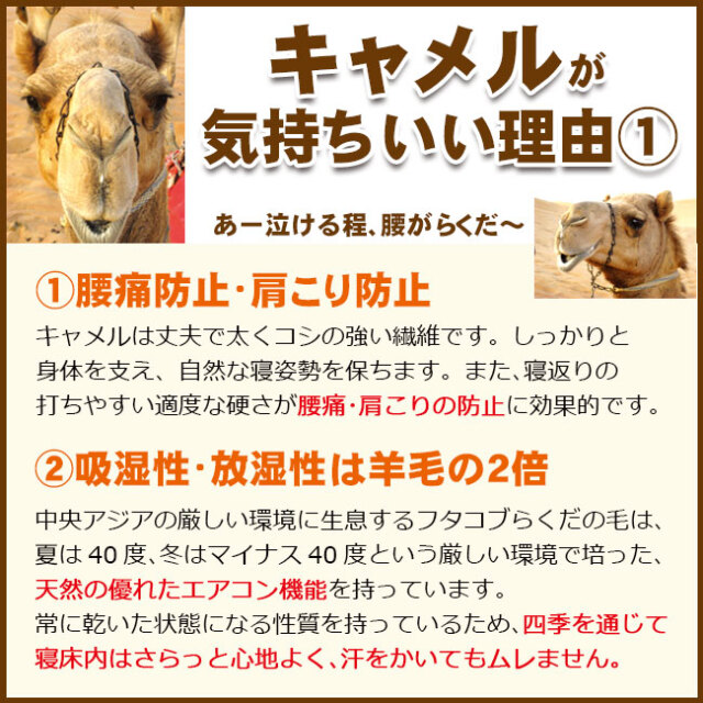 キャメルベッドパッド07