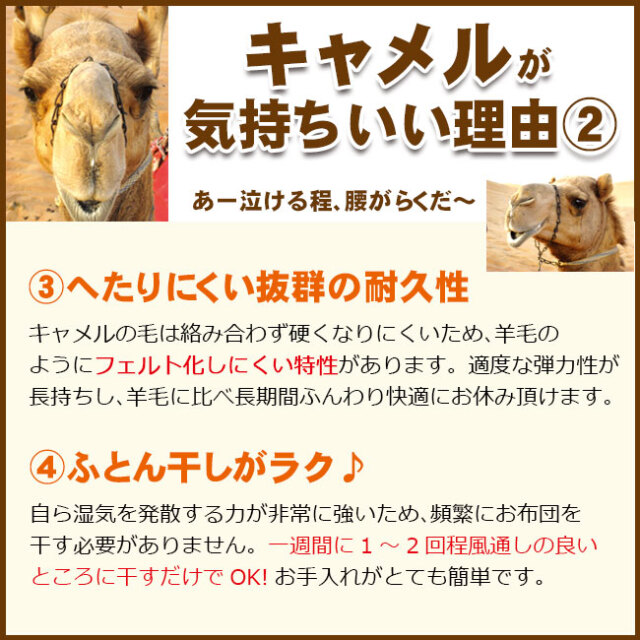 高品質なキャメルベッドパッドをリーズナブルな価格でご提供。出雲大社