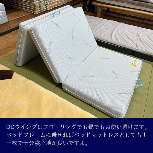 DDウイング05