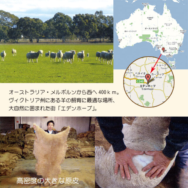 エデンホープ08
