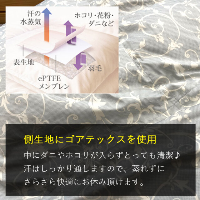 西川ゴア1-02