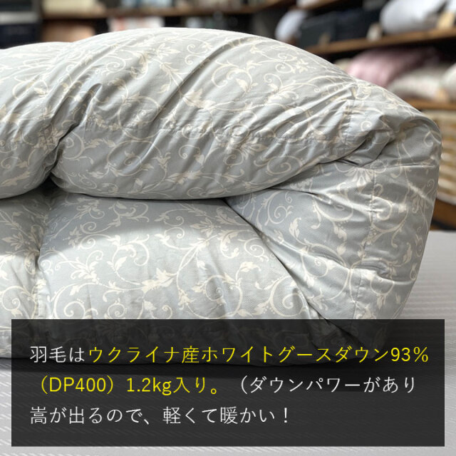 西川ゴア1-03