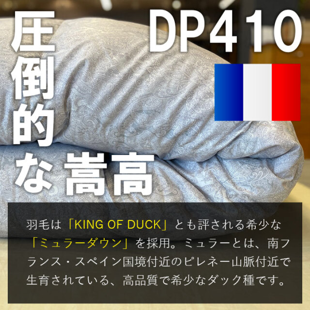 ゴア羽毛06-03