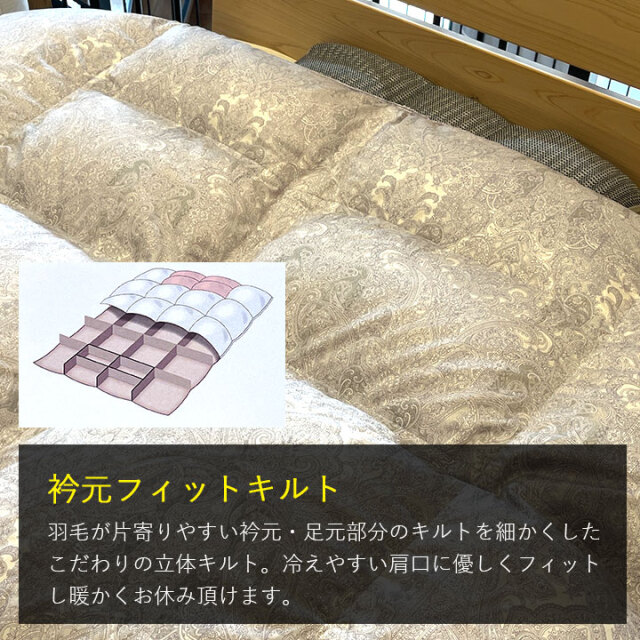 ゴア羽毛06-04