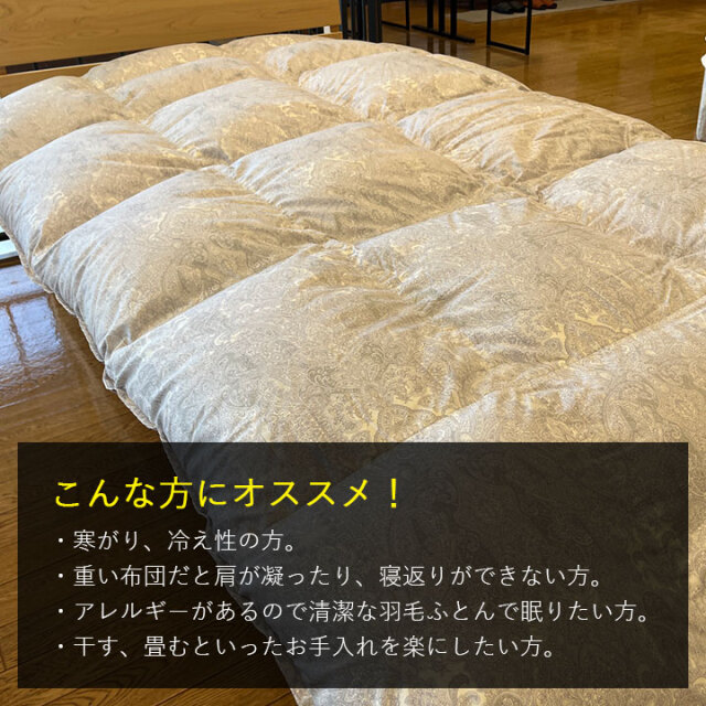 ゴア羽毛06-05