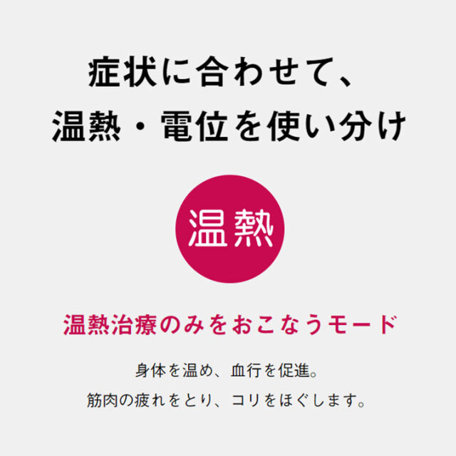 ヘルシオン13