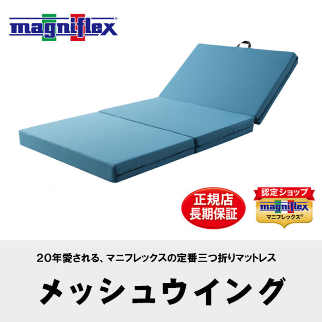 メッシュウイング01