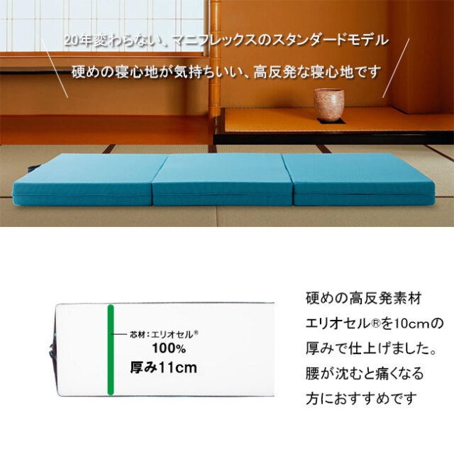 メッシュウイング02