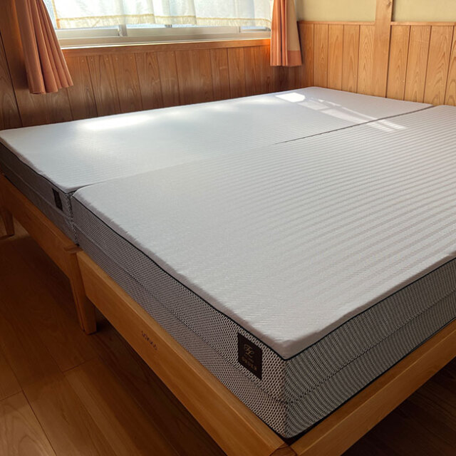 レグルスライト12