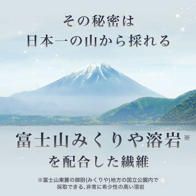 リニュースリープ06