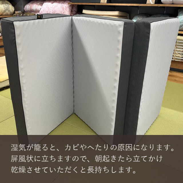 ウェーブΣレギュラー09