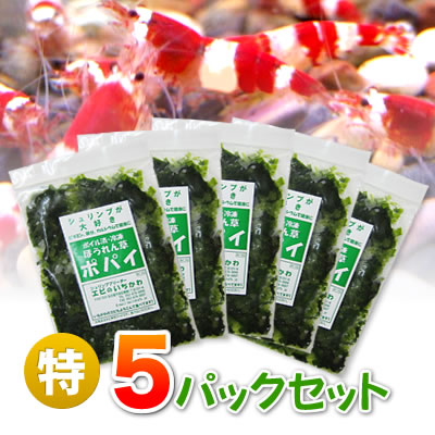 ≪クール料金込み≫冷凍ほうれん草ポパイ（無農薬）×５パックセット