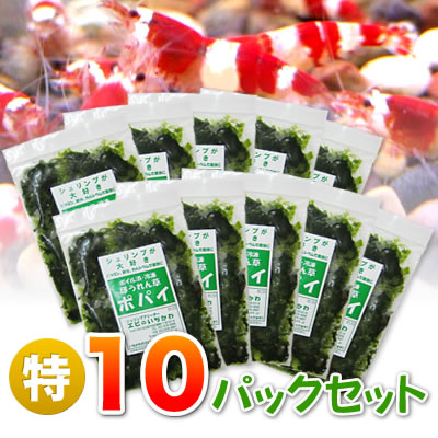 ≪クール料金込み≫冷凍ほうれん草ポパイ（無農薬）×１０パックセット