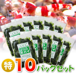 ≪クール料金込み≫冷凍ほうれん草ポパイ（無農薬）×１０パックセット