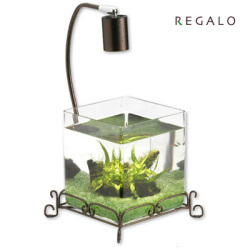 【送料無料】うるおいインテリア水槽セット