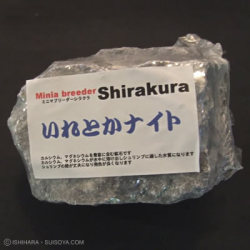 シラクラ いれとかナイト レイアウト（５００g）